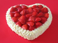 /album/cakes/ccf007-jpg1/